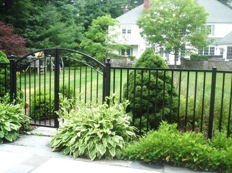 25+ best ideas about Aluminum Fence on Pinterest | Aluminum gates ... Farmhouse Fencing, Aluminum Fence Landscaping, Black Aluminum Fence, Yard Fencing, Estate Fencing, Fence Border, Fencing Options, Pool Fencing, Aluminum Fencing