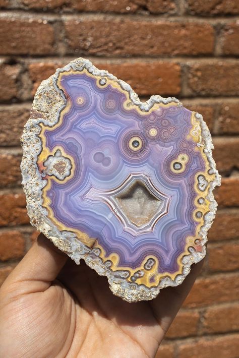 Crystal Ceramics, Pulp Painting, Crystal Types, Laguna Agate, Rock Collecting, Crystal Tattoo, Rocks And Fossils, Chihuahua Mexico, Magical Stones