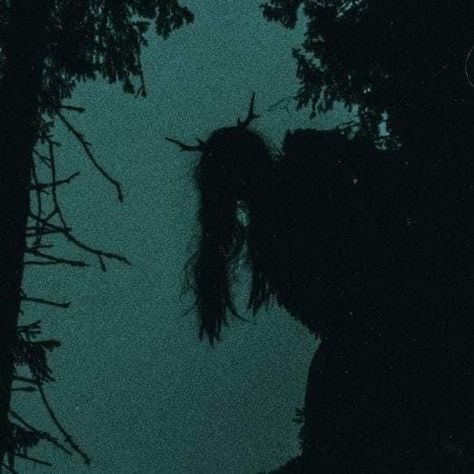 Vampire Aesthetic, Aesthetic Tumblr, At Night, Onyx, Trees, Forest, Tumblr