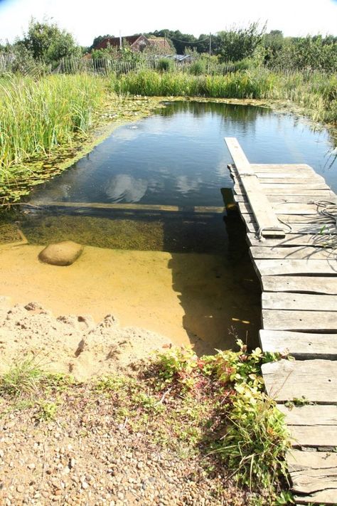 Build Your Own Organic Swimming Pond Bio Pool, Pond Construction, Swimming Pool Pond, Garden Gates And Fencing, Fish Pond Gardens, Natural Swimming Ponds, Garden Pond Design, Wild Swimming, Swimming Pond