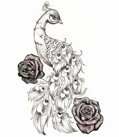 Peacock With Flowers, Peacock Drawing, Peacock Feather Tattoo, Peacock Tattoo, Peacock Art, Desenho Tattoo, Pencil Art Drawings, Bird Drawings, Thigh Tattoo