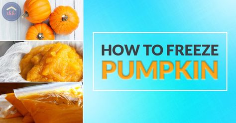 Can You Freeze Pumpkin, Freeze Pumpkin, Frozen Pumpkin, Homemade Pumpkin Puree, Homemade Pumpkin, Pumpkin Puree, Pumpkin Carving, Pineapple, Frozen