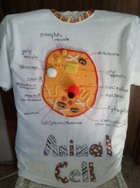 Help kids jazz up their school science project with an idea to create a wearable animal cell t-shirt. Cell Diagram Project, 3d Cell Project, Animal Cell Diagram, Animal Cell Model Project, Edible Cell Project, 3d Animal Cell, Plant Cell Project, Edible Cell, Cell Model Project