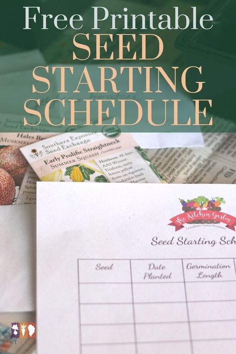 Seed planting time is here! Grab this free printable seed starting schedule to keep track of what you've planted and get your vegetable garden off on the right track! Seed Starting Schedule, Seed Starting Chart, Seed Starting Calendar, Seed Planting Guide, Date Plant, Seed Planting, Planting Calendar, Starting Seeds Indoors, Seed Starter