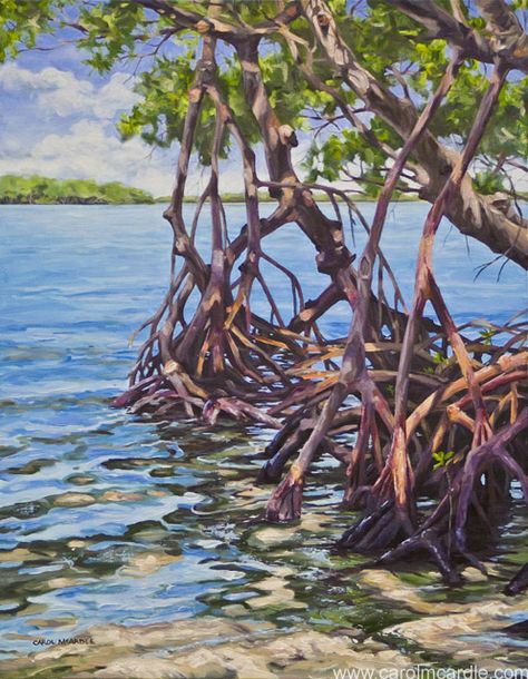 "Hickory Island Mangroves" Mangrove Trees Drawing, Mangrove Forest Drawing, Mangrove Drawing, Mangroves Art, Mangrove Art, Florida Oil Painting, Mangrove Trees, Mangrove Tree, Grape Painting