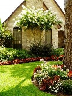 Nice color accents this house. Tree For Corner Of House, Houston Landscaping, Southern Landscaping, Crepe Myrtles, Front Landscape, Myrtle Tree, Crepe Myrtle, Crape Myrtle, Garden Shrubs