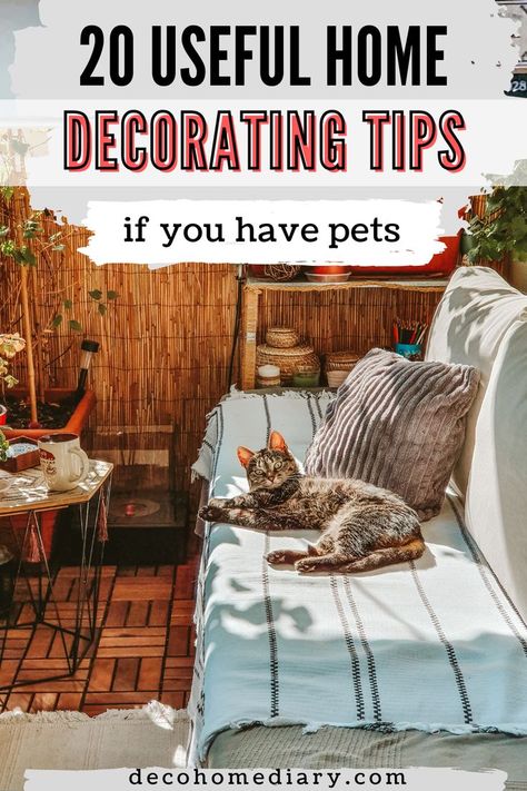 home with pets decor Cats Room, Pets Room, Pet Room Decor, Cat Room Decor, Cats House, Pet Friendly House, Cats Pet, Pet Friendly Home, Animal Room