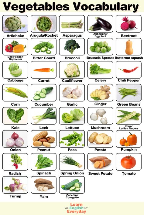 In this video, you'll learn the names of 38 Vegetables Vocabulary in English. if you like my video please Subscribe to my channel and click the bell icon to get new video updates. #vegetables #vegetablesvocabulary #vocabulary #englishconversation #learnenglish #english Vegetable Vocabulary English, Vegetables In English, Kitchen Vocabulary, Name Of Vegetables, Vocabulary In English, Learning Grammar, New Vocabulary, Different Types Of Vegetables, Food Vocabulary