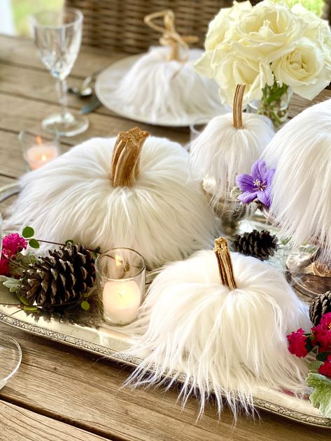 White Fur Pumpkins With Real Pumpkin Stems White Velvet | Etsy Anthropologie Halloween, Velvet Pumpkins Display, Glam Pumpkins, Pumpkin Stems, Elegant Pumpkins, Pumpkin Wedding, Pumpkin Display, Neutral Fall Decor, Pretty Pumpkins