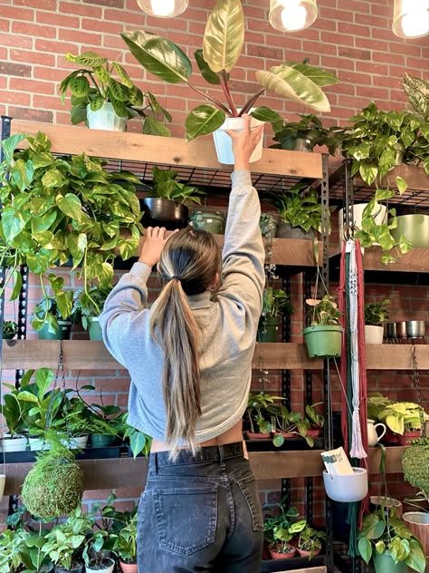 Plant Shop Photoshoot, Plant Shop Aesthetic, Plant Organization, Reading Aesthetics, Spring Moodboard, San Diego Shopping, Plant Shopping, Quiet Storm, Plant Shop