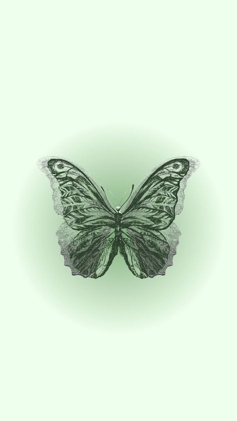 Emerald Green Butterfly Wallpaper, Olive Background Aesthetic, Wallpaper Hijau Tua, Green Butterfly Wallpaper Aesthetic, Butterfly Green Aesthetic, Cute Wallpapers Aesthetic Pastel Dark, Wallpaper Aesthetic Verde, Green Butterfly Aesthetic, Wallpaper Mariposas