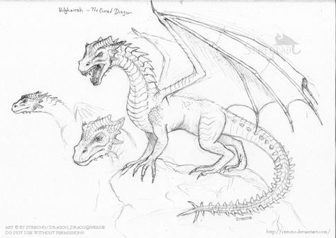 Merlin Dragon, Easy Dragon Drawings, Hogwarts Great Hall, Ancient Tattoo, Hogwarts Castle, Space Wolves, Harry Potter Fanfiction, Blue Dragon, Dragon Drawing