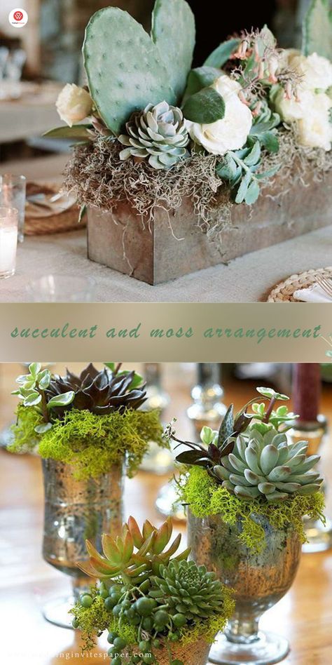 Top 23 Remarkable Rustic Wedding Centerpieces---succulent and moss Terrarium Ideas Wedding, Moss Succulent Centerpiece, Plant Wedding Centerpieces Potted, Eucalyptus And Succulent Wedding, Succulent Wedding Table Centerpieces, Moss And Succulent Centerpiece, Rustic Succulent Centerpiece, Succulent Centerpieces Party, Terrarium Centerpieces