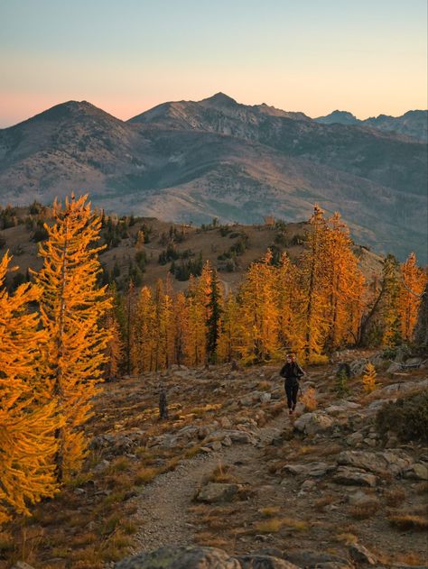 Went hiking in fall to find some yellow larches in the North Cascades of Washington during sunrise Fall Shuffle, Washington State Fall, Washington Fall, Pnw Fall, Pnw Vibes, Pnw Aesthetic, Pnw Travel, 2024 Manifestations, English Project