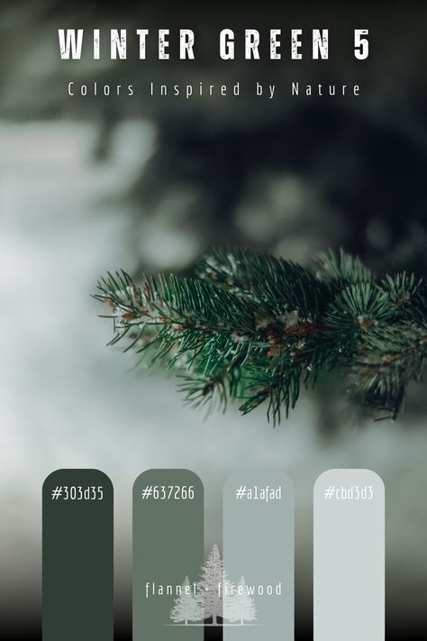 Green Color Palette, Winter Green, Nature Color Palette, Green Colour Palette, Color Palettes, Natural Color, Green Color, Green Colors, Nature Inspiration