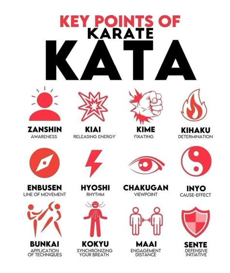 Shotokan Karate Kata, Goju Ryu Karate, Karate Quotes, Karate Moves, Karate Kata, Goju Ryu, Karate Dojo, Martial Arts Quotes, Karate Training