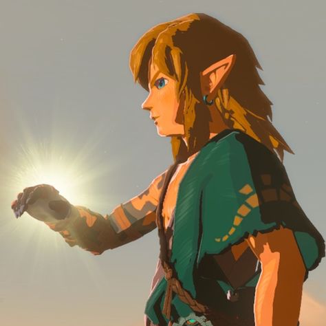 Link Reference Totk, Legend Of Zelda Tears Of The Kingdom Link, Link Tears Of The Kingdom Arm, Link Arm Tears Of The Kingdom, Legend Of Zelda Link Haircut, Link Pfp Tears Of The Kingdom, Tears Of The Kingdom Screenshots, Link Side Profile, Link Hairstyle Zelda