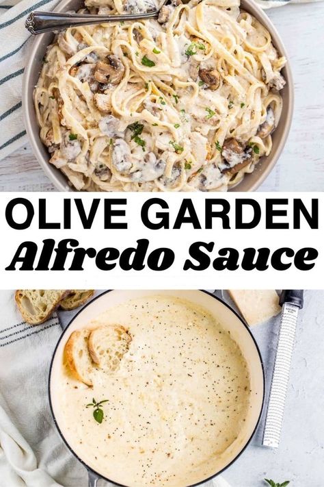 Alfredo Sauce Olive Garden, Italian White Sauce, Gluten Free Alfredo Sauce, Best Alfredo Sauce Recipe, Homemade Alfredo Sauce Recipe, Olive Garden Alfredo Sauce Recipe, Alfredo Sauce Easy, Olive Garden Alfredo, Olive Garden Alfredo Sauce