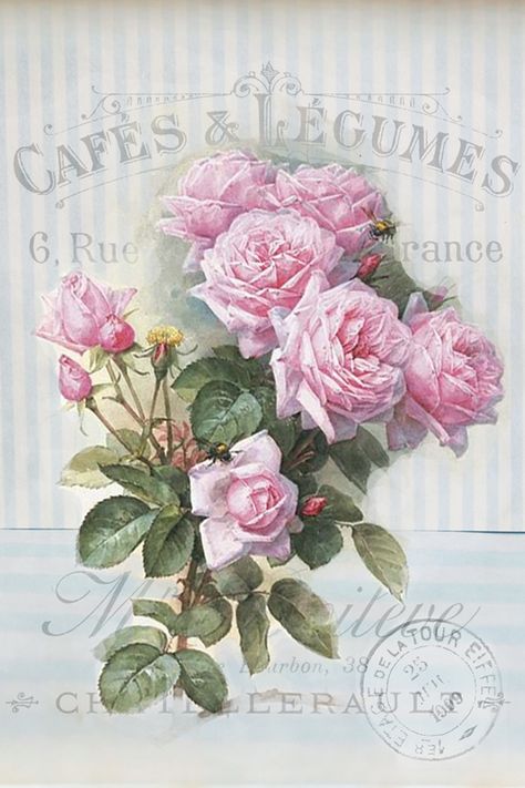 Rare Vintage French- Shabby Chic Instant Art Free Printable ! Just frame and Hang ! Shabby Art Boutique