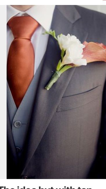 Groomsmen attire to match rust bridesmaids? | Weddings, Wedding Attire | Wedding Forums | WeddingWire Grey Suit Rust Tie Wedding, Grey Suit Rust Tie, Rust And Gray Wedding, Grey And Rust Wedding, Rust And Grey Wedding, Orange Groomsmen, Copper Suit, Rust Pants, Suit Groomsmen