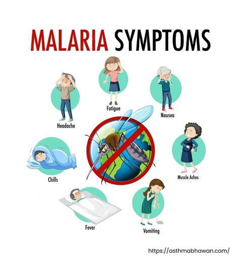 Symptoms of Malaria Disease Malaria Disease, Malaria Symptoms, Malaria Prevention, World Malaria Day, Francophone Countries, Exhibition Ideas, Charitable Organizations, Muscle Aches, Abdominal Pain