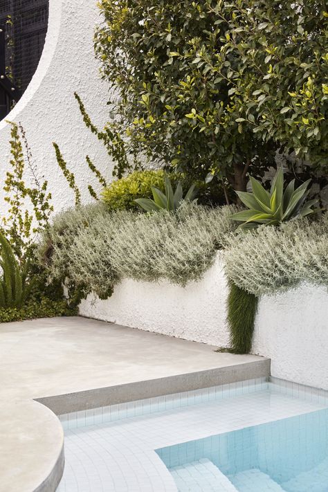 Modern swimming pool design with raised planter boxes Palm Springs Garden, Pool Tile Ideas, Flack Studio, Brighton Houses, Modern Coastal Home, Coastal Garden, Coastal Gardens, Landscape Materials, The Local Project