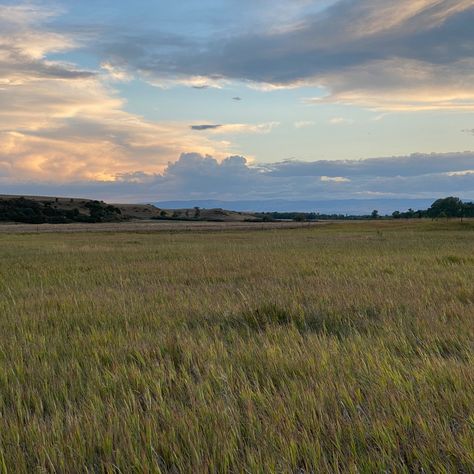 09/12 Views from the grass fields. Grass Fields, Dull Colors, Grass Field, Open Field, Fields Photography, The Grass, Waltz, Collage, Pins