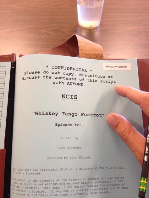 Oh schnap Agent Aesthetic, Anthony Dinozzo, Ziva And Tony, Ncis Characters, Ncis Cast, Ziva David, Michael Weatherly, Mark Harmon, Special Agent