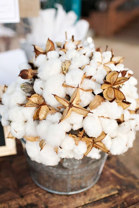 cotton boquets | Cotton bouquet. | Events Cotton Bouquet, Cotton Boll, Cotton Wedding, Cotton Plant, Skating Rink, Dance Hall, Deco Floral, Dramatic Play, Perfect Palette