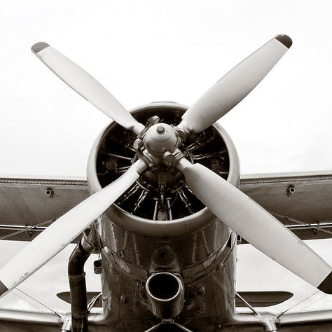 Old Plane Propeller Plane Propeller, Airplane Room, Speed Photography, High Speed Photography, Propeller Plane, Aircraft Propeller, Pilot License, Old Planes, Flying High