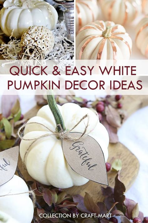 Pumpkin Decor Ideas, White Pumpkin Centerpieces, Pumpkin Tablescape, White Pumpkin Decor, Decor Photography, Pumpkin Thanksgiving, Thanksgiving Diy, Pumpkin Fall Decor, Pumpkin Centerpieces