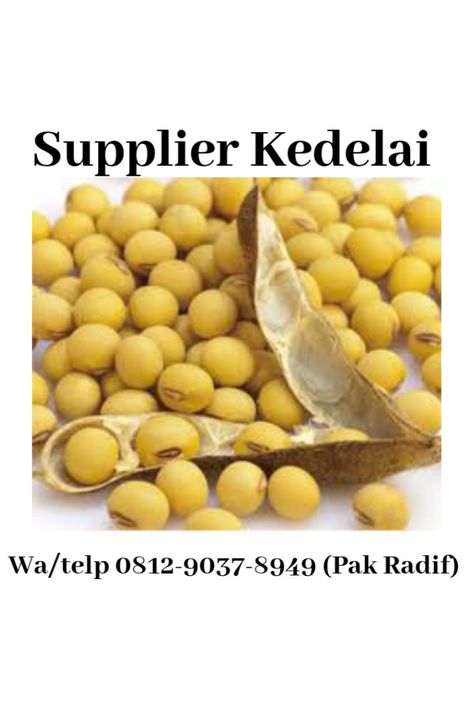 "Paling diminati!!!,Telp/WA 0812-9037-8949(Tsel), Jual Kedelai  Paling dicari!!!, Petani Kedelai, Pusat Kedelai Murah  Sedia Berbagai Jenis Kacang Kedelai 1. kedelai curah 2. kedelai murah 3. kedelai unggul 4. kedelai organik  Hubungi  Pak. Radif Muhammad Umar Telp/WA 0812-9037-8949  Jual kedelai organik depok, jual kedelai jepang tangerang, jual kedelai tempe tangerang, jual kedelai kuning tangerang, jual kedelai kupas tangerang, jual kedelai bubuk tangerang, jual kedelai impor tangerang, jual Edamame, Corn, Quick Saves