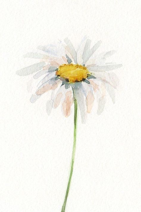 Daisy Flower Watercolor, Watercolor Mothers Day Card, Daisy Watercolor Painting, Daisy Drawings, Watercolour Daisy, Daisy Flower Drawing, Daisies Watercolor, Daisy Watercolor, Wood Watercolor