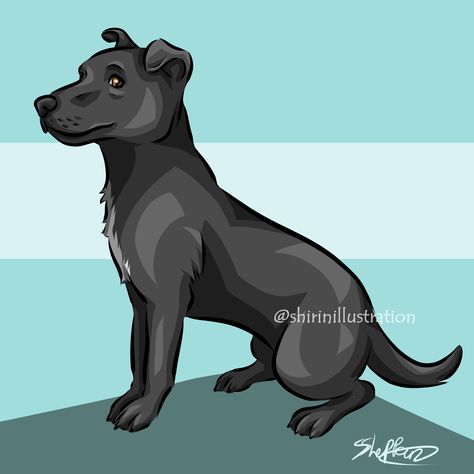 Cyan Background, Cute Dog Art, Pitbull Boxer, Patterdale Terrier, Every Dog Breed, Background Cute, Face Sketch, Russell Terrier, Dog Drawing