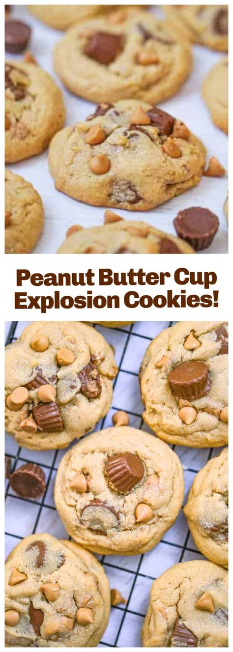 Dive into the mouth-watering world of easy, large, homemade peanut butter cookies! This simple recipe delivers chewy, stuffed cookies with a surprise inside - a peanut butter cup explosion. From the first bite, you’ll taste the blend of sweet and salty flavors, perfectly balanced for your delight. Big enough to satisfy your cravings and easy enough for any home baker to master. This is more than just a recipe; it's a delightful baking journey! Large Peanut Butter Cookies, Mini Peanut Butter Cups, Large Cookies, Cookie Recipes For Kids, Reese's Peanut Butter Cup, Chewy Peanut Butter Cookies, Peanut Butter Candy, Butter Cookies Recipe, Homemade Cake