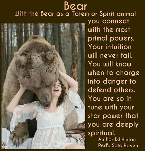 Black Bear Spiritual Meaning, Native American Zodiac Bear, Bear Chronotype, Spirit Animal Bear, Bear Medicine, Cleansing Spells, Animal Totem Spirit Guides, Magickal Correspondences, Bear Spirit Animal