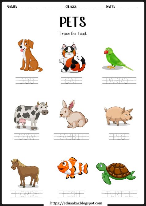 Pet Animals worksheets Kinds Of Animals Worksheets, Pet Animals Worksheets For Kids, Pet Animals Worksheet, Domestic Animals Worksheets For Kids, Domestic Animals Worksheets, Evs Worksheet, Wild Animals List, Dentist Cartoon, Animals Worksheet