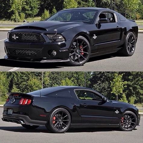 2015 Ford Mustang, 2012 Ford Shelby GT500, 2008 Ford Shelby GT500, 2016 Ford Mustang, 2011 Ford Mustang, #ShelbyMustang #Ford #FordGT  - Follow #extremegentleman for more pics like this! Mustang 2008, Saleen Mustang, 2016 Ford Mustang, 2011 Ford Mustang, Ford Mustang V6, 2012 Ford Mustang, 2010 Mustang, Mustang Gt500, Ford Mustang Shelby Gt500