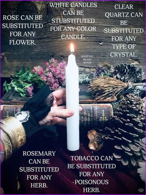 “Witchy Tip: Substituitons” Easy Spells For Beginner Witches, Beginner Witch Tips, White Witch Spells, Spell Bags, Witchcraft Knowledge, Candle Work, Witchcraft Tips, Pagan Beliefs, Witchy Tips