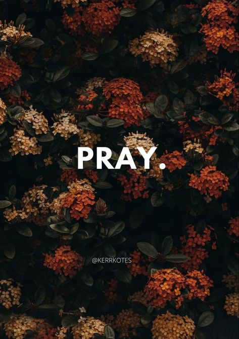 I Am Praying For You Quotes, Pray First Wallpaper, The Power Of Prayer Quotes, James 5:16, Pray Aesthetics, Praying Aesthetic, Aesthetic Prayer, Prayer Aesthetic, Christianity Aesthetic