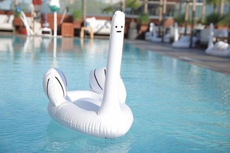 This Pool Float Totally Throws Shade at Those Trendy Inflatable Swans — and We Love It Pool Raft, Swan Float, Funny Photoshop Pictures, Pool Rafts, Funny Photoshop, Swimming Pool House, Inflatable Pool Floats, Giant Inflatable, Pool Floats