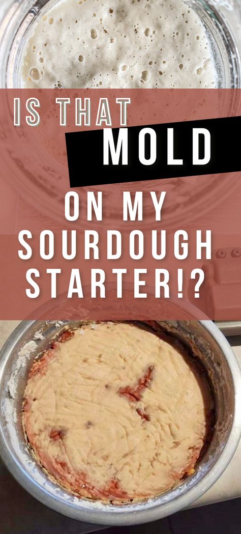 Moldy sourdough starter and where mold on sourdough starter is visible as pink streaks Yeast Starter, Dough Starter, Starter Recipe, Bread Starter, Sourdough Starter Recipe, Bread Mold, Sourdough Baking, Joy Of Cooking, Recipe From Scratch