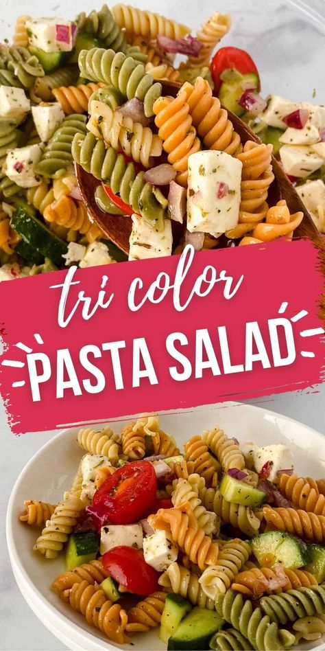 Easy Tri Color Pasta Salad, Tri Colored Pasta Salad Italian, Tri Color Pasta Salad Recipe, Tricolour Pasta, Tricolor Pasta Salad, Color Pasta Salad, Tri Color Pasta Salad, Rotini Pasta Salad, Tri Color Pasta