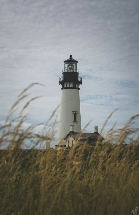 Light House, Beautiful Place, The Pacific, Lighthouse, Oregon, Most Beautiful, Green