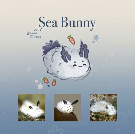 Sea Bunnies Drawing, Sea Bunny Aesthetic, Sea Bunny Art, Sea Bunny Drawing, Cute Sea Creatures Drawing, Sea Bunny Oc, Sea Creature Oc, Sea Creature Drawings, Bunny Sea Slug