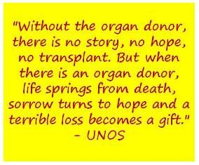 “I believe that we are here for each other, not against each other. Everything comes from an understanding that you are a GIFT in my life – whoever you are, whatever our differences.” – John Denver Organ Donor Quotes, Organ Donation Quotes, Donation Quotes, Living Kidney Donor, Kidney Donation, Organ Donation Awareness, Kidney Donor, Lung Transplant, Donate Life