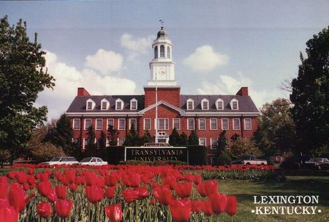 Transylvania University, Lexington Kentucky, University Of Kentucky, Ferry Building, Ferry Building San Francisco, Kentucky, University, Building, Travel