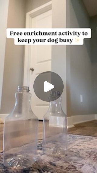 bodhi + kora on Instagram: "Save this enrichment idea to try later! ✨  This one is SO easy, and it gave my dogs a fun activity that tired them out!  Make sure you are always supervising your dog during these activities!  Follow @bodhi.and.kora for more tips!  #canineenrichment #dogtips #dogenrichmentideas #puppytips #puppytricks #hyperdog #dog #doghacks #dogparents" Toys For Dogs Diy, Dog Enrichment Diy, Enrichment Activities For Dogs, Diy Dog Enrichment Toys, Puppy Enrichment Ideas, Dog Enrichment Ideas Diy, Indoor Dog Activities, Dog Enrichment Ideas, Dog Boredom Buster