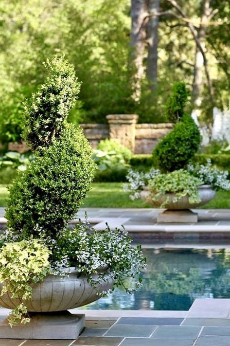 NgLp Designs shares Pool Garden decor ideas ... large container garden accents of various shades of trailing ivy and sculpted evergreens decor around the pool | exterior home design | pool landscaping /// #containergardening #greenery #poollandscapingideas French Country Pool Landscaping, Pool With Plants Around, Poolside Garden Ideas Landscaping, Pool Area Plants Landscaping Ideas, Southern Pool Landscaping, Evergreens Around Pool, Pool Planters Landscaping, Oval Pool Landscaping Ideas, Landscaping Around A Pool