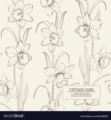 Botanical of daffodil Royalty Free Vector Image Narcissus Illustration, Daffodil Leaves, Daffodil Illustration, Daffodil Drawing, Daffodil Print, Daffodil Pattern, Side View Drawing, Nouveau Flowers, Shoes Embroidery